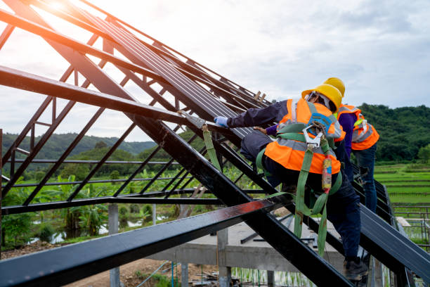 Best Roof Repair Services  in Newton, NJ