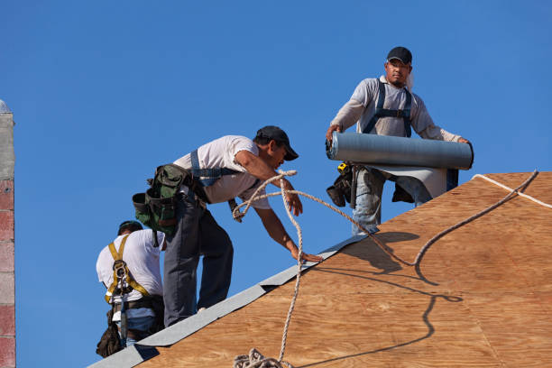 Best Emergency Roof Repair  in Newton, NJ