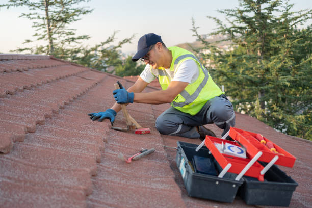 Best Roof Maintenance Services  in Newton, NJ