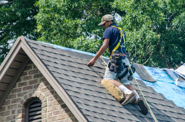 Best New Roof Installation  in Newton, NJ